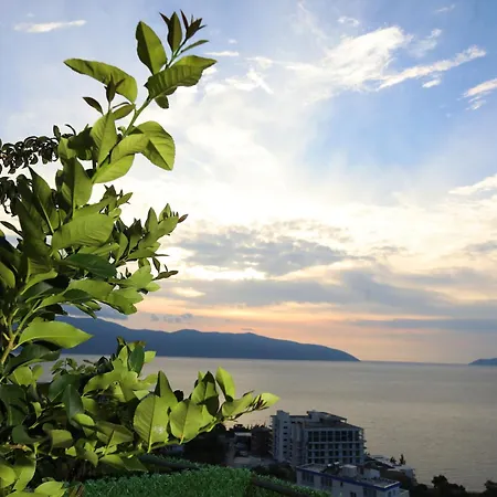 Hill * Vlorë